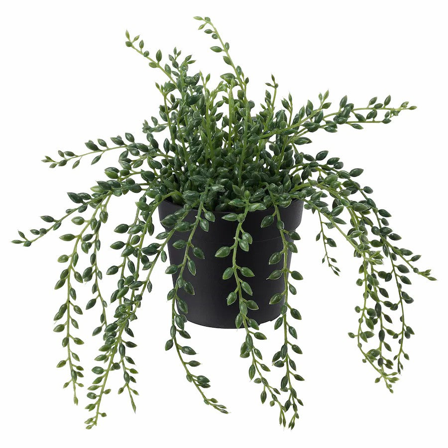 FEJKA artificial potted plant, indoor/outdoor hanging/String of