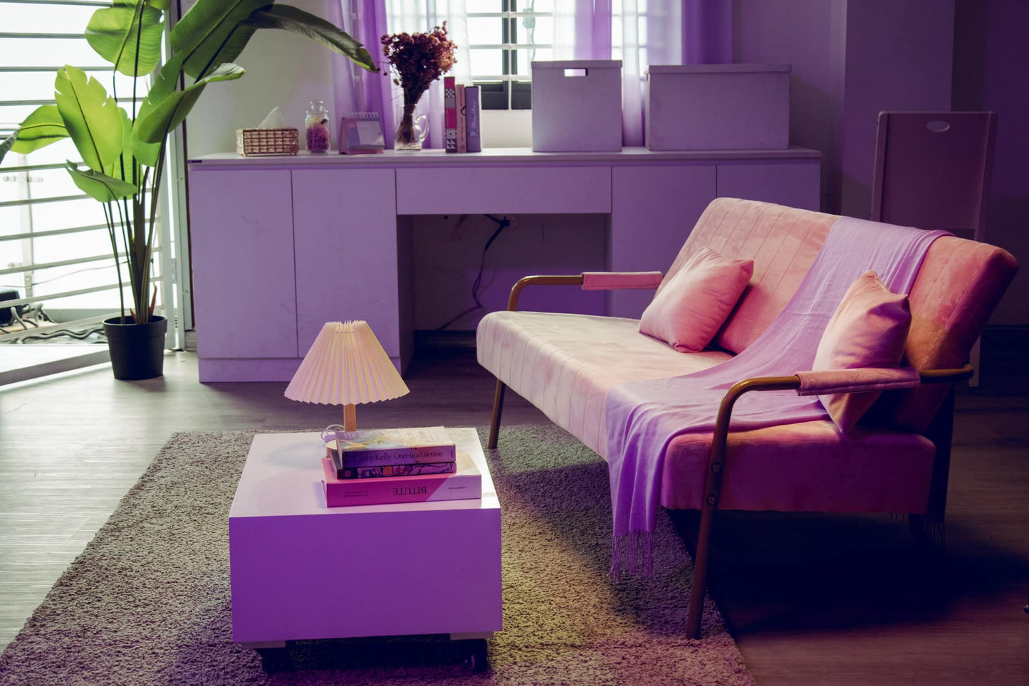 JEFFSUN pink sofa