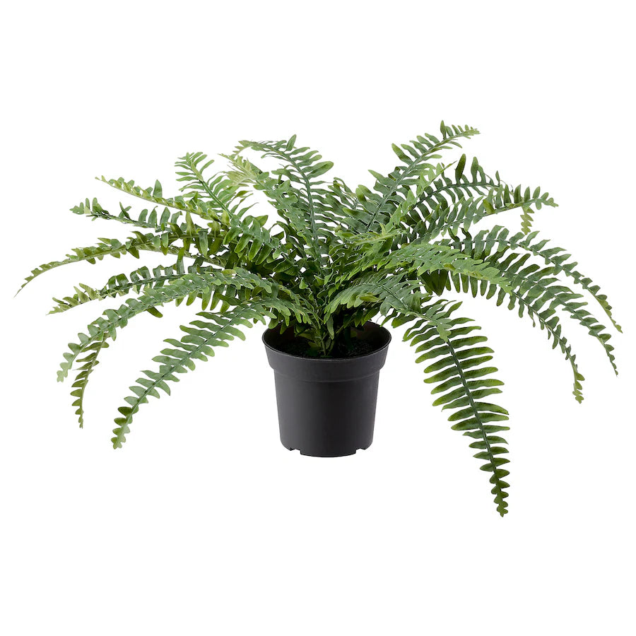 IKEA FEJKA Artificial potted plant, in/outdoor fern, 15 cm