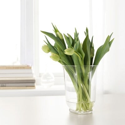 IKEA POMP Vase/lantern, clear glass, 18 cm