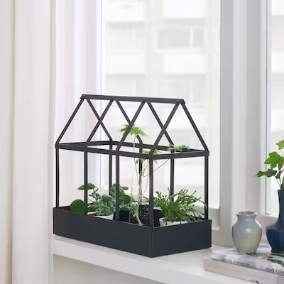 IKEA SENAPSKÅL Decoration greenhouse, in/outdoor black, 34 cm