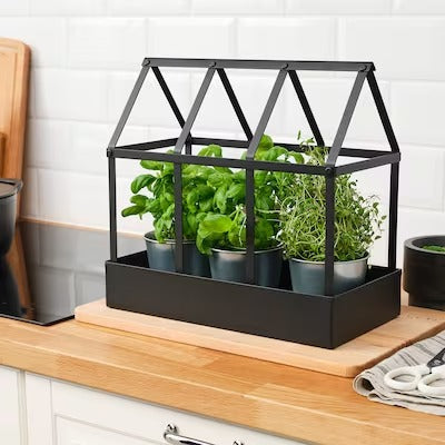 IKEA SENAPSKÅL Decoration greenhouse, in/outdoor black, 34 cm